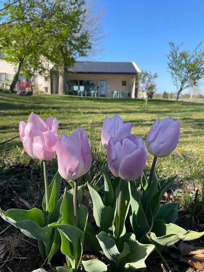 Agriturismo Redo Ponti sul Mincio 0*,  Italien