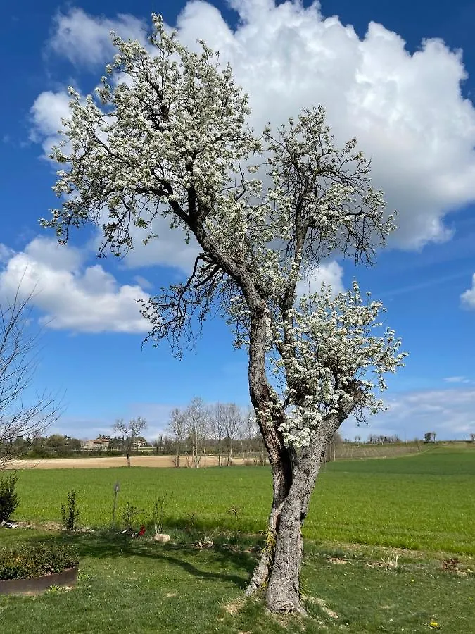 Agriturismo Redo Ponti sul Mincio Italien