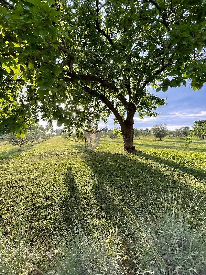 פונטי סול מינצ'יו Agriturismo Redo בית חווה